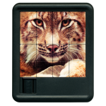 Bobcat front