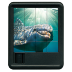 dolphin puzzle front