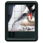 Penguin puzzle front