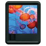 jellyfish puzzle front