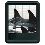 Orca front